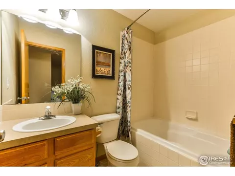 892 Emerald Dr, Windsor, CO 80550 photo 19