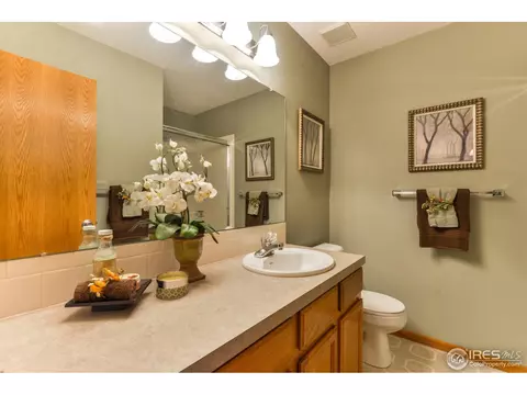 892 Emerald Dr, Windsor, CO 80550 photo 16