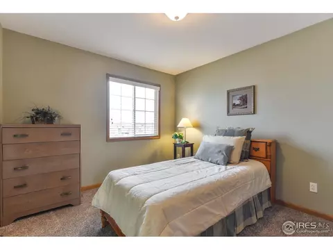892 Emerald Dr, Windsor, CO 80550 photo 17