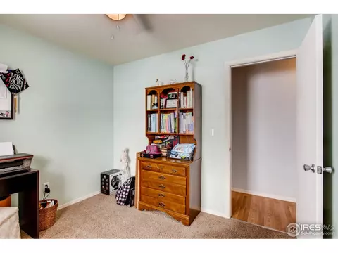 519 Broadview Dr, Severance, CO 80550 photo 27