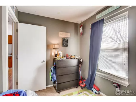 519 Broadview Dr, Severance, CO 80550 photo 26
