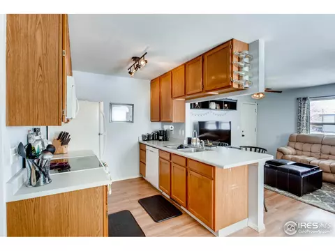 519 Broadview Dr, Severance, CO 80550 photo 14
