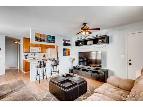 519 Broadview Dr, Severance, CO 80550 photo 6