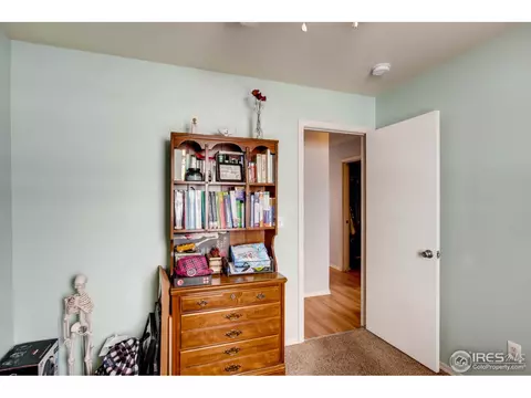 519 Broadview Dr, Severance, CO 80550 photo 29