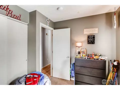 519 Broadview Dr, Severance, CO 80550 photo 25
