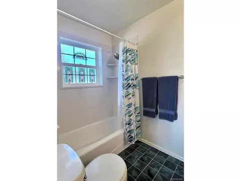 1235 SE Par Ct, Cedaredge, CO 81413 photo 15