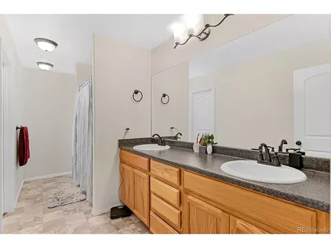 909 Barasingha St, Severance, CO 80550 photo 19
