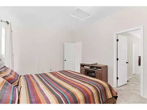 909 Barasingha St, Severance, CO 80550 photo 18