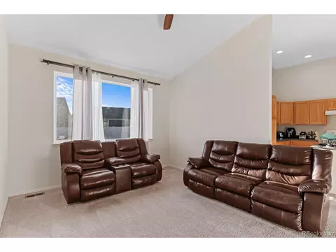 909 Barasingha St, Severance, CO 80550 photo 14