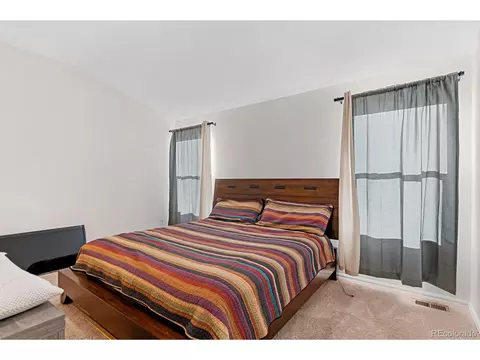 909 Barasingha St, Severance, CO 80550 photo 17