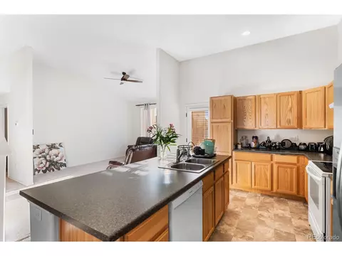 909 Barasingha St, Severance, CO 80550 photo 10