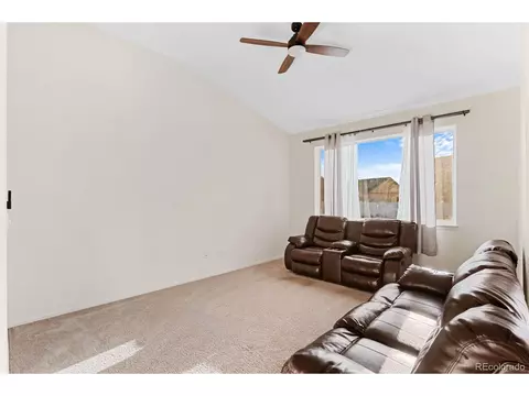 909 Barasingha St, Severance, CO 80550 photo 13