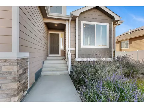 909 Barasingha St, Severance, CO 80550 photo 2