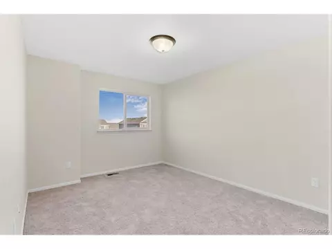 909 Barasingha St, Severance, CO 80550 photo 23