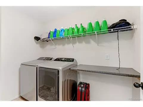 909 Barasingha St, Severance, CO 80550 photo 20