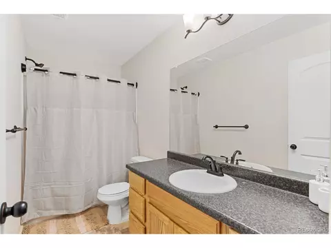 909 Barasingha St, Severance, CO 80550 photo 24