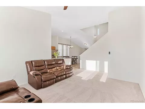 909 Barasingha St, Severance, CO 80550 photo 15