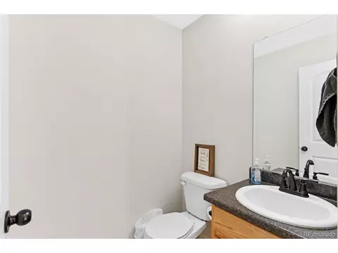 909 Barasingha St, Severance, CO 80550 photo 21