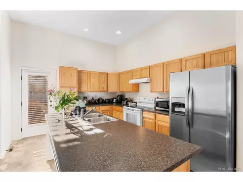 909 Barasingha St, Severance, CO 80550 photo 9