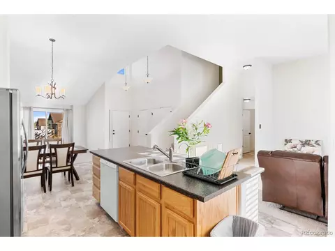 909 Barasingha St, Severance, CO 80550 photo 11