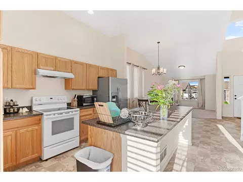 909 Barasingha St, Severance, CO 80550 photo 12