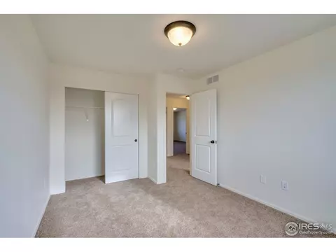 316 Torreys Dr, Windsor, CO 80550 photo 15