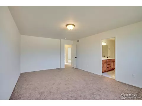 316 Torreys Dr, Windsor, CO 80550 photo 23