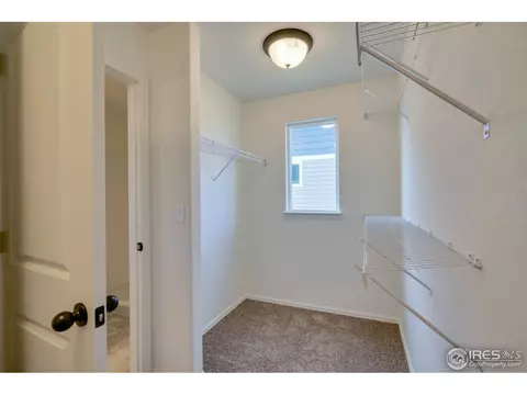 316 Torreys Dr, Windsor, CO 80550 photo 21