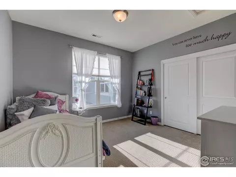 3043 E 148th Pl, Thornton, CO 80602 photo 19