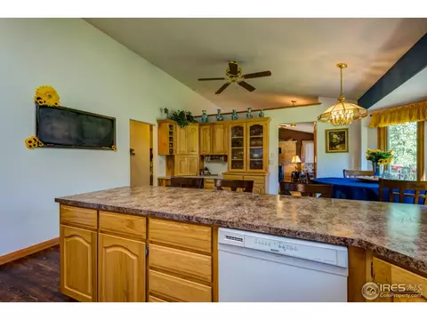 215 Willow Patch Ln, Bellvue, CO 80512 photo 14