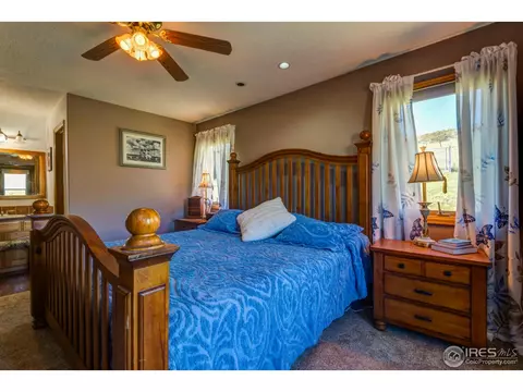215 Willow Patch Ln, Bellvue, CO 80512 photo 20