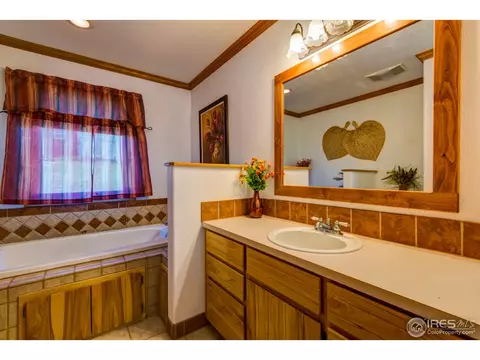 215 Willow Patch Ln, Bellvue, CO 80512 photo 23