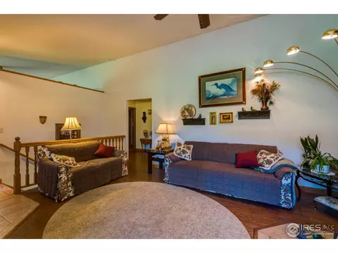 215 Willow Patch Ln, Bellvue, CO 80512 photo 19