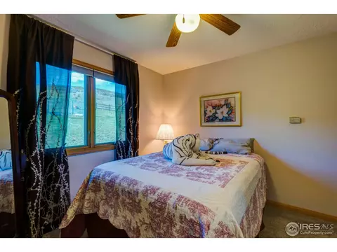 215 Willow Patch Ln, Bellvue, CO 80512 photo 24