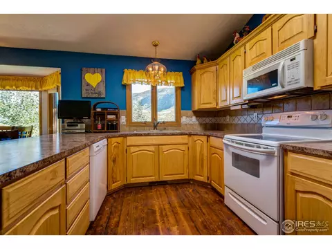 215 Willow Patch Ln, Bellvue, CO 80512 photo 11