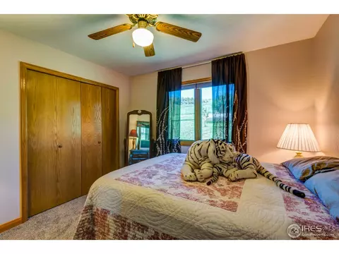 215 Willow Patch Ln, Bellvue, CO 80512 photo 25