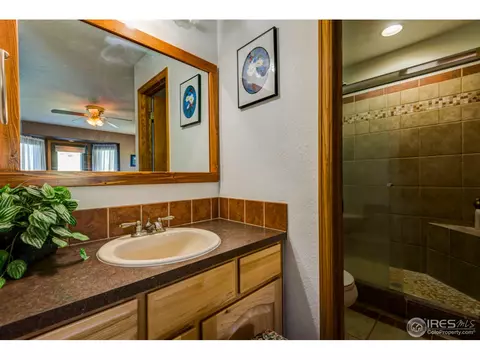 215 Willow Patch Ln, Bellvue, CO 80512 photo 22