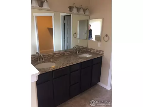 2120 Honeybee Dr, Windsor, CO 80550 photo 13