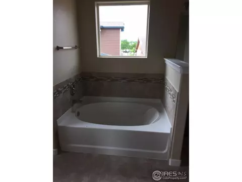 2120 Honeybee Dr, Windsor, CO 80550 photo 14