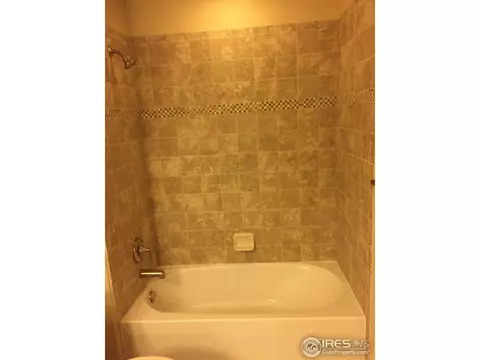 2120 Honeybee Dr, Windsor, CO 80550 photo 11