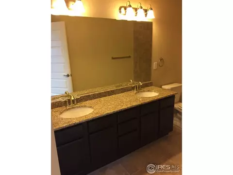 2120 Honeybee Dr, Windsor, CO 80550 photo 10