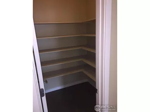 2120 Honeybee Dr, Windsor, CO 80550 photo 6