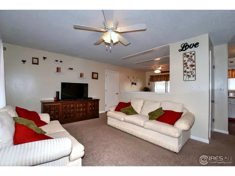 1110 Nantucket St, Windsor, CO 80550 photo 6