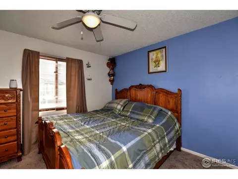 1110 Nantucket St, Windsor, CO 80550 photo 17