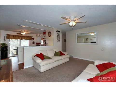 1110 Nantucket St, Windsor, CO 80550 photo 9