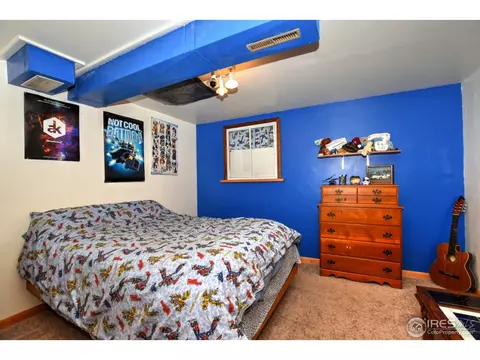 1110 Nantucket St, Windsor, CO 80550 photo 26