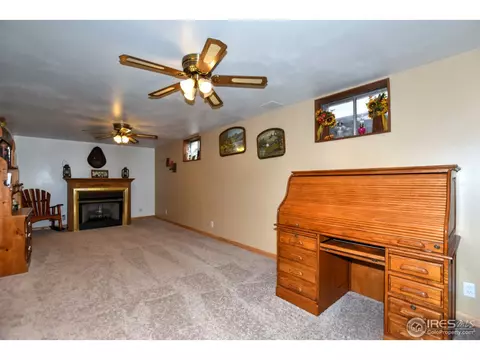 1110 Nantucket St, Windsor, CO 80550 photo 23