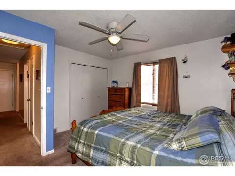 1110 Nantucket St, Windsor, CO 80550 photo 16