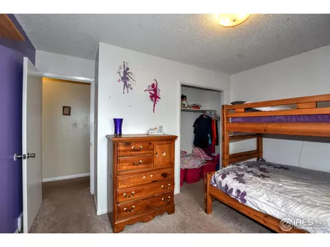 1110 Nantucket St, Windsor, CO 80550 photo 20