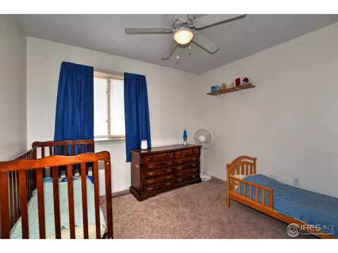 1110 Nantucket St, Windsor, CO 80550 photo 21